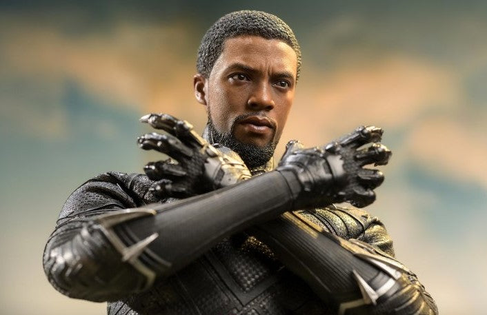 Hot Toys MMS671 Black Panther Legacy - 1/6th scale Black Panther (Original Suit) Collectible Figure