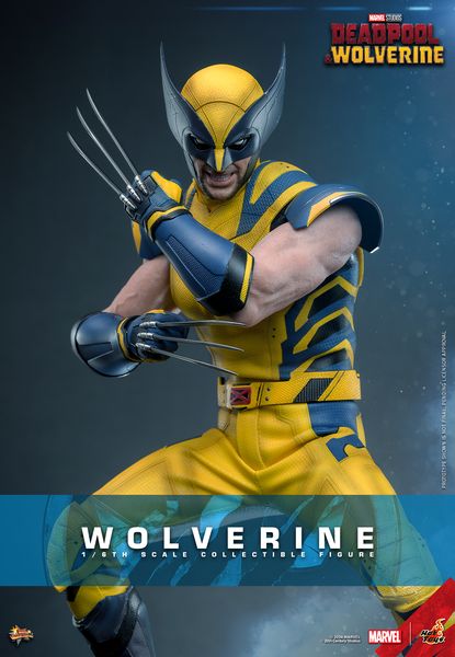 Hot Toys Wolverine Sixth Scale Figure Deadpool and Wolverine Limited 1/6 Collectible